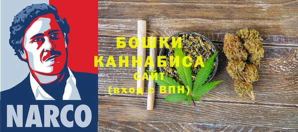 ПСИЛОЦИБИНОВЫЕ ГРИБЫ Баксан