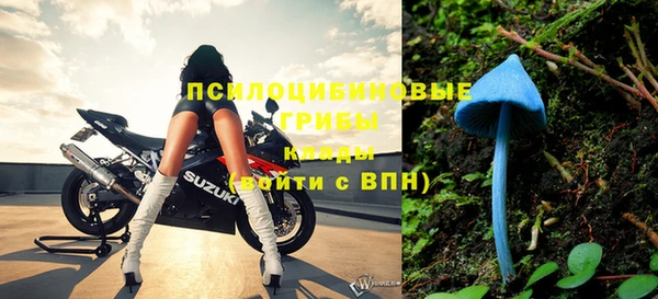 шишки Балабаново