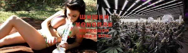 ПСИЛОЦИБИНОВЫЕ ГРИБЫ Балахна