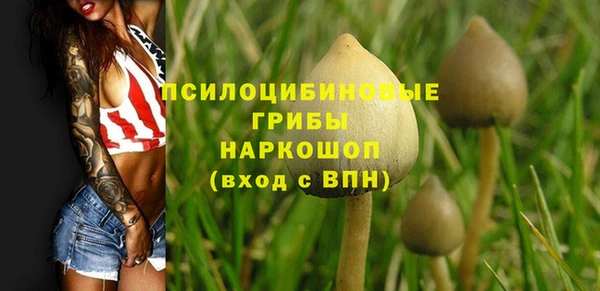 ПСИЛОЦИБИНОВЫЕ ГРИБЫ Балахна