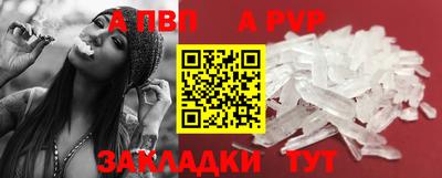 прущие крисы Гай