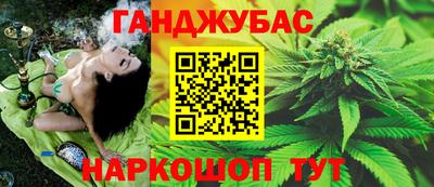 прущие крисы Гай