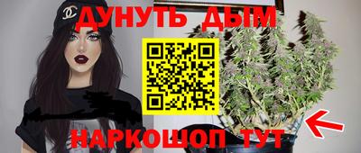 прущие крисы Гай