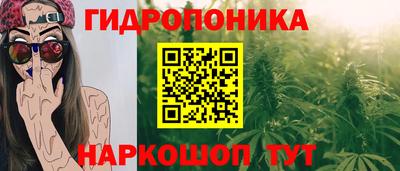 прущие крисы Гай