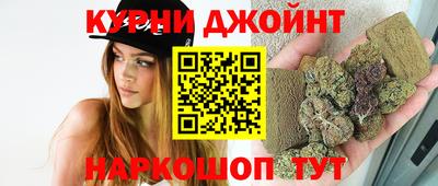прущие крисы Гай