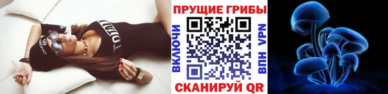 Псилоцибиновые грибы Magic Shrooms  это телеграм  Междуреченск 