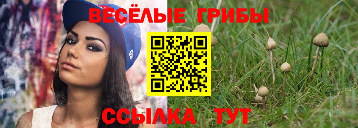 Псилоцибиновые грибы мухоморы Междуреченск